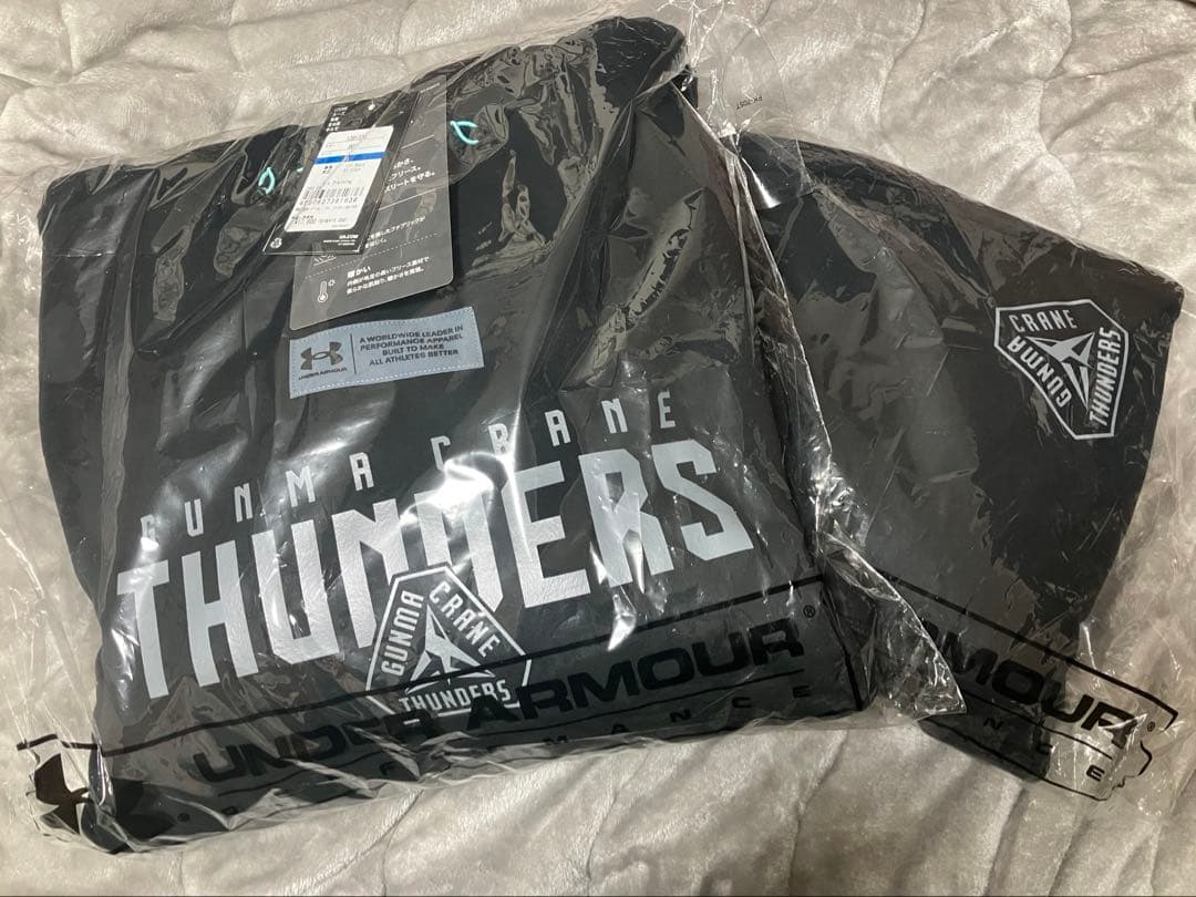 フリースセットアップ(XL) 群馬クレインサンダーズ