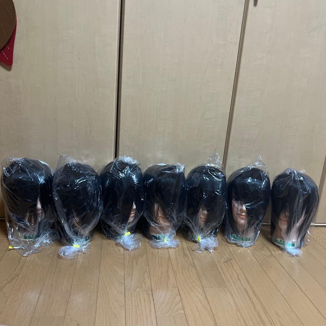 国家試験練習用カットウィッグ　新品