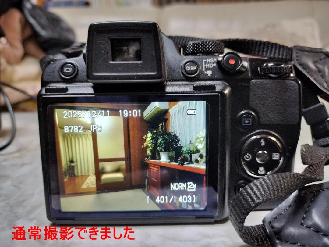 驚異の36倍ズーム！Nikon COOLPIX P500高倍率 バリアングル液晶