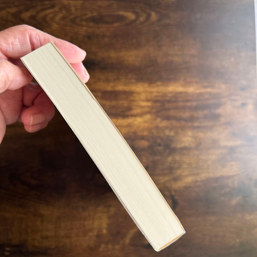 相似象 第15号　相似象学会誌