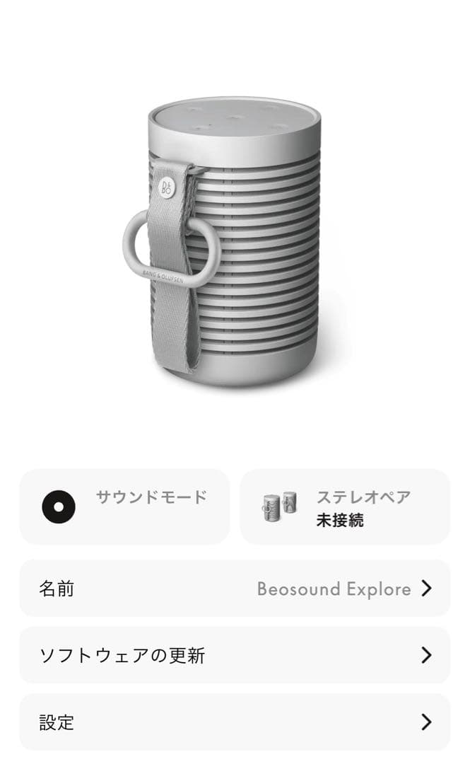 バングアンドオルフセン　アウトドアスピーカー【別売りケース付き】