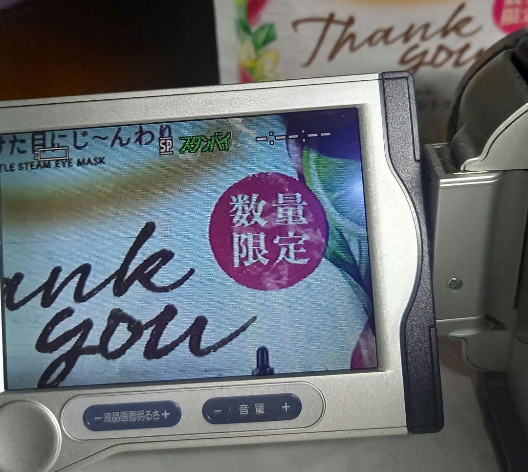 SONY Handycam ソニー デジタルビデオカメラ　DCR-TRV30