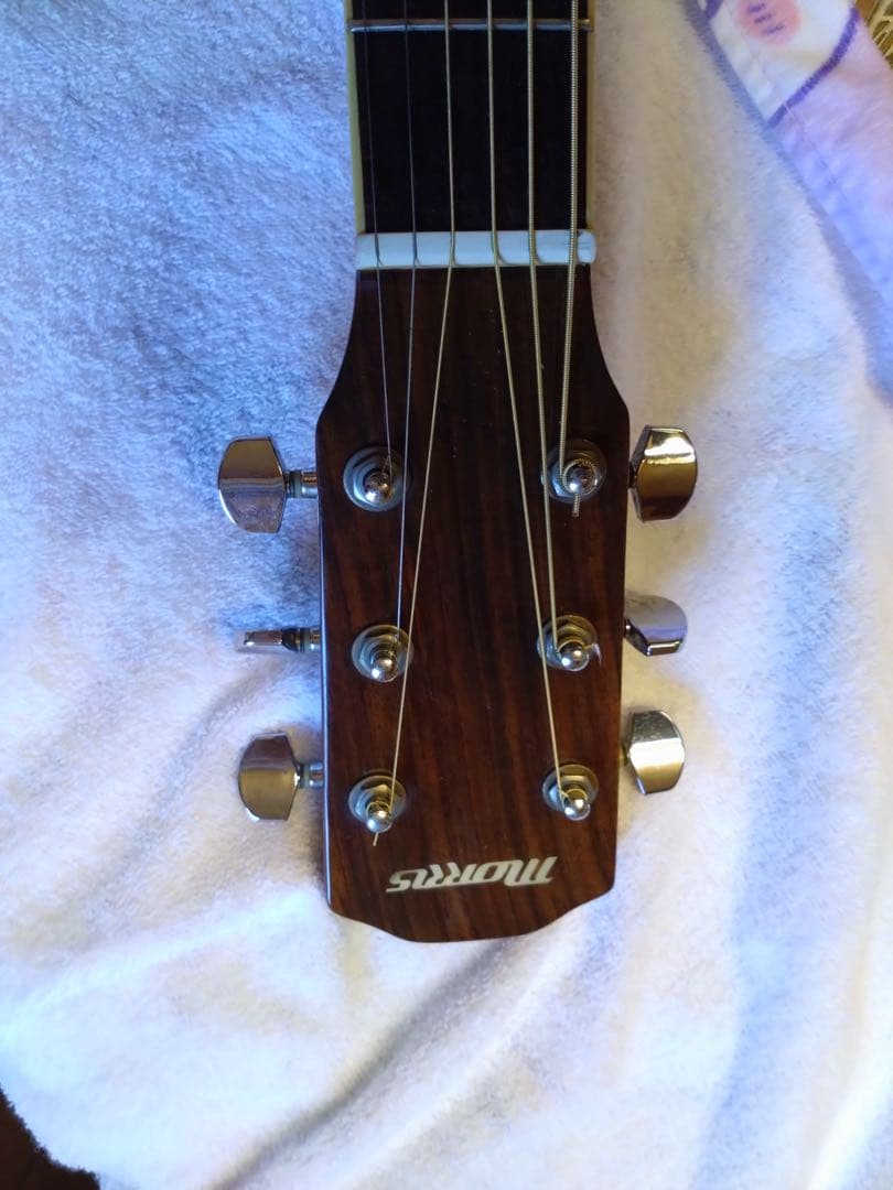 Morris S-20TS　女性でも最高に弾きやすいです 　アコギ　エレアコ