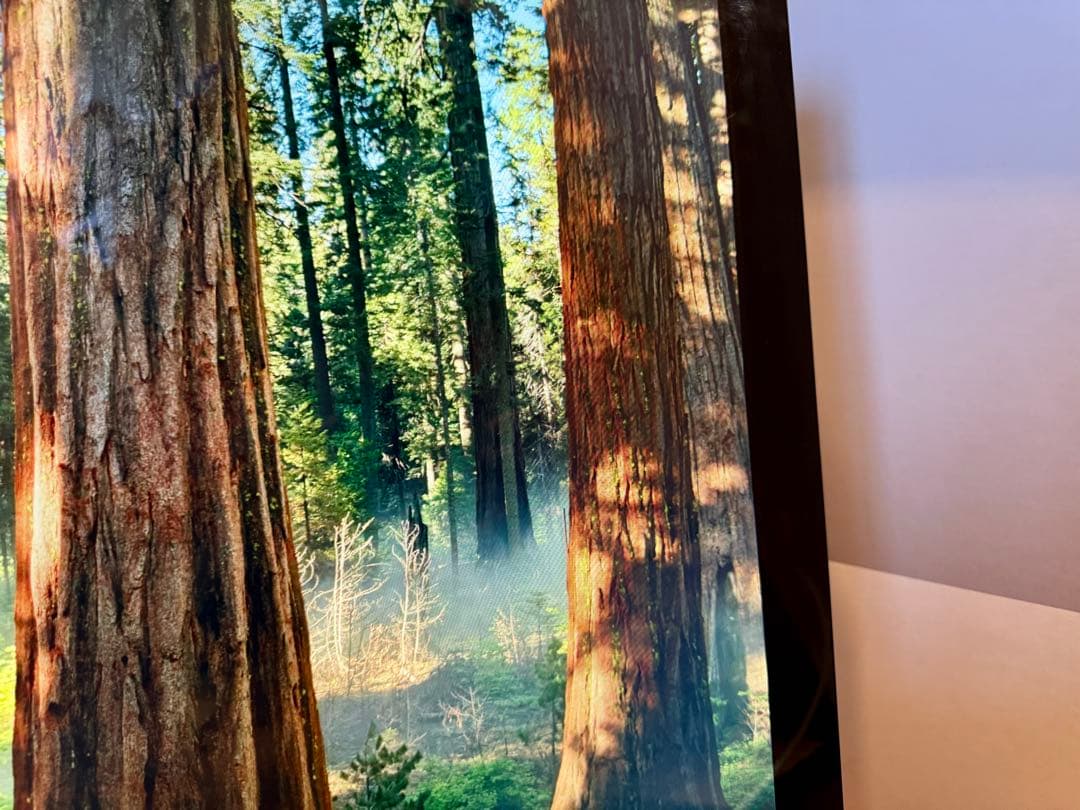 Apple Thunderbolt Display USB-Cアダプター付き