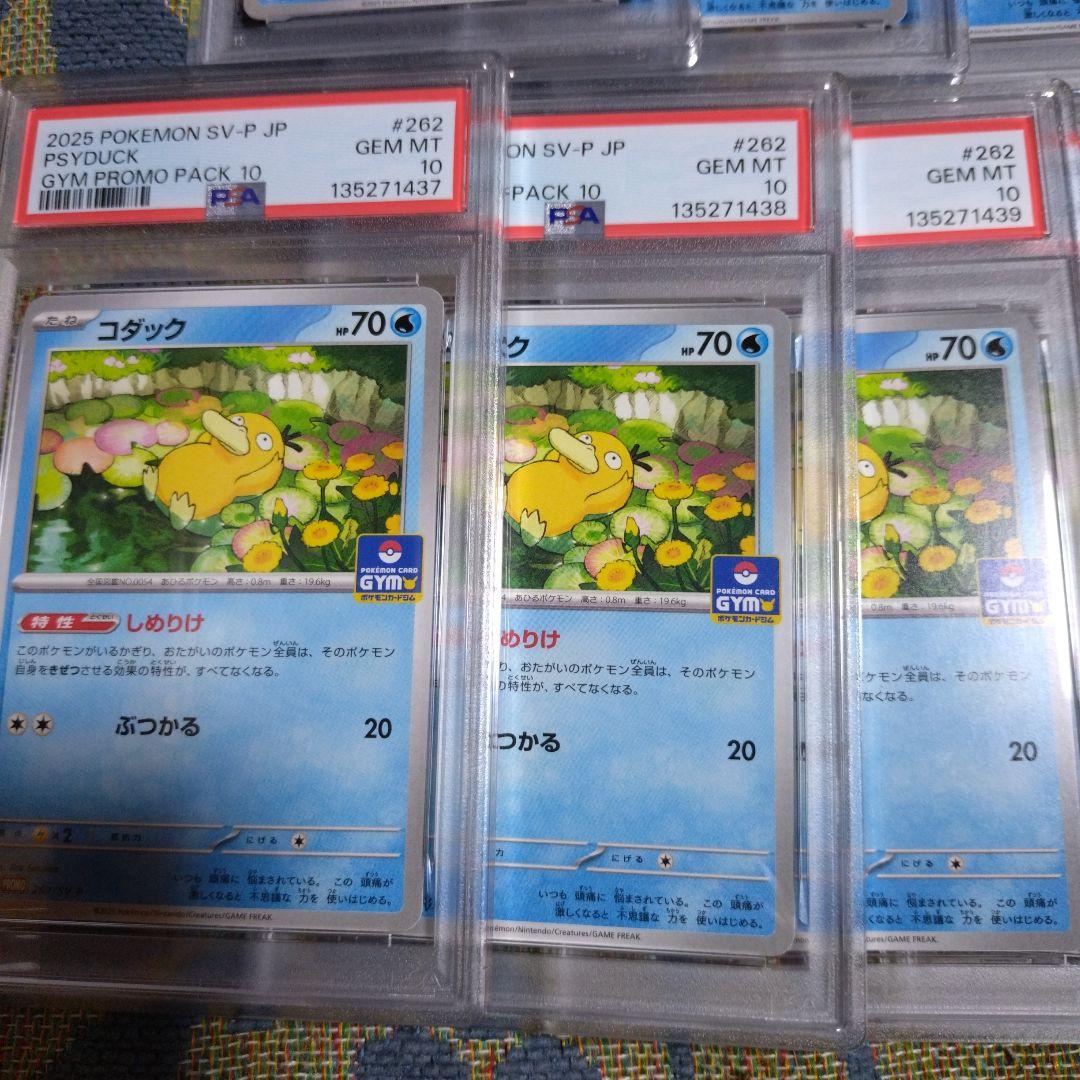 【PSA10】コダック しめりけ 262/SV-P ジムプロモ 11枚 連番