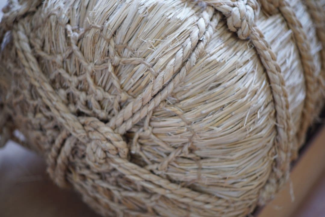 55mm F1.4 単焦点レンズ FUJIFILMミラーレス 写真がうまくなる