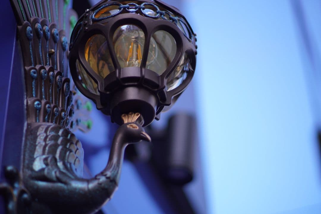 55mm F1.4 単焦点レンズ FUJIFILMミラーレス 写真がうまくなる