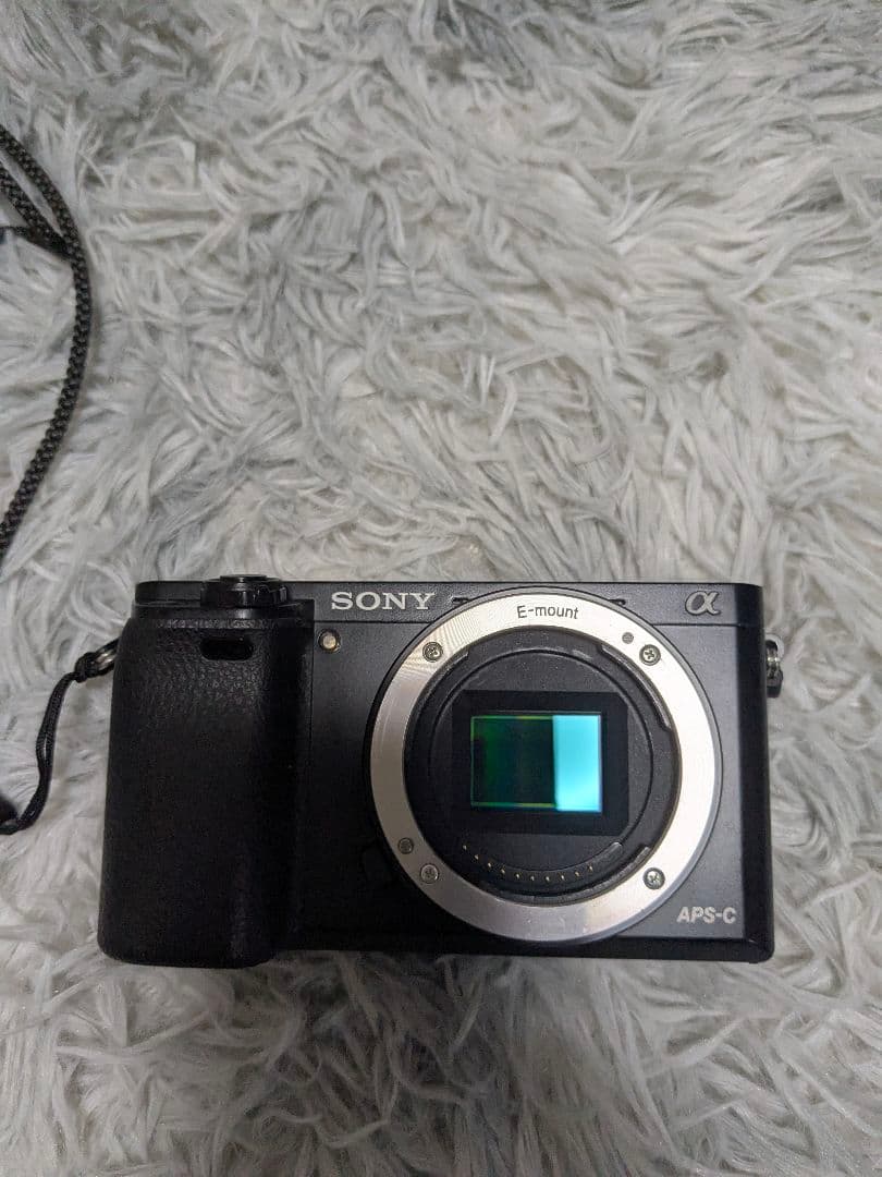 SONY α6000 + TTARTISAN 50mm f2