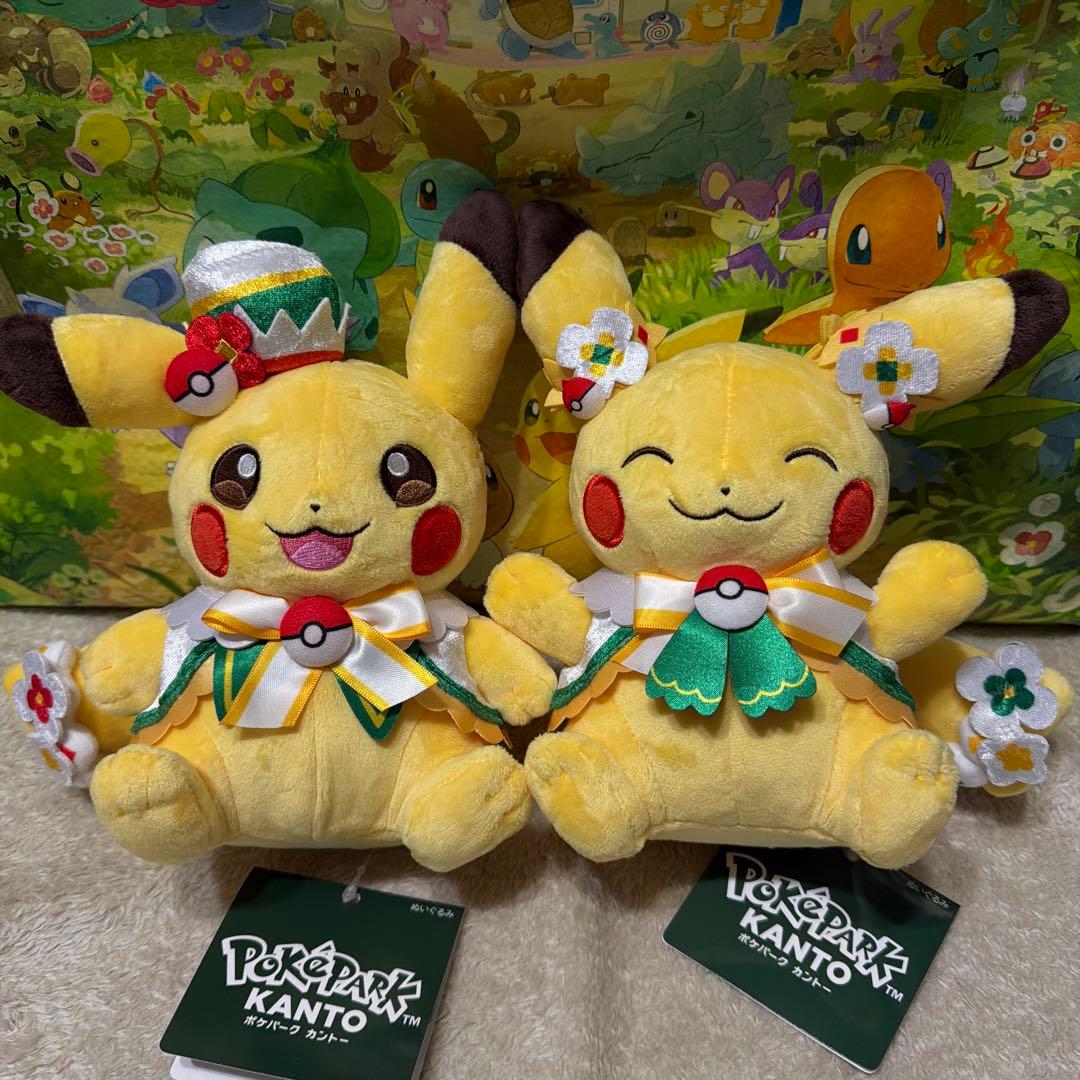 ポケパーク カントー ピカチュウ ぬいぐるみ