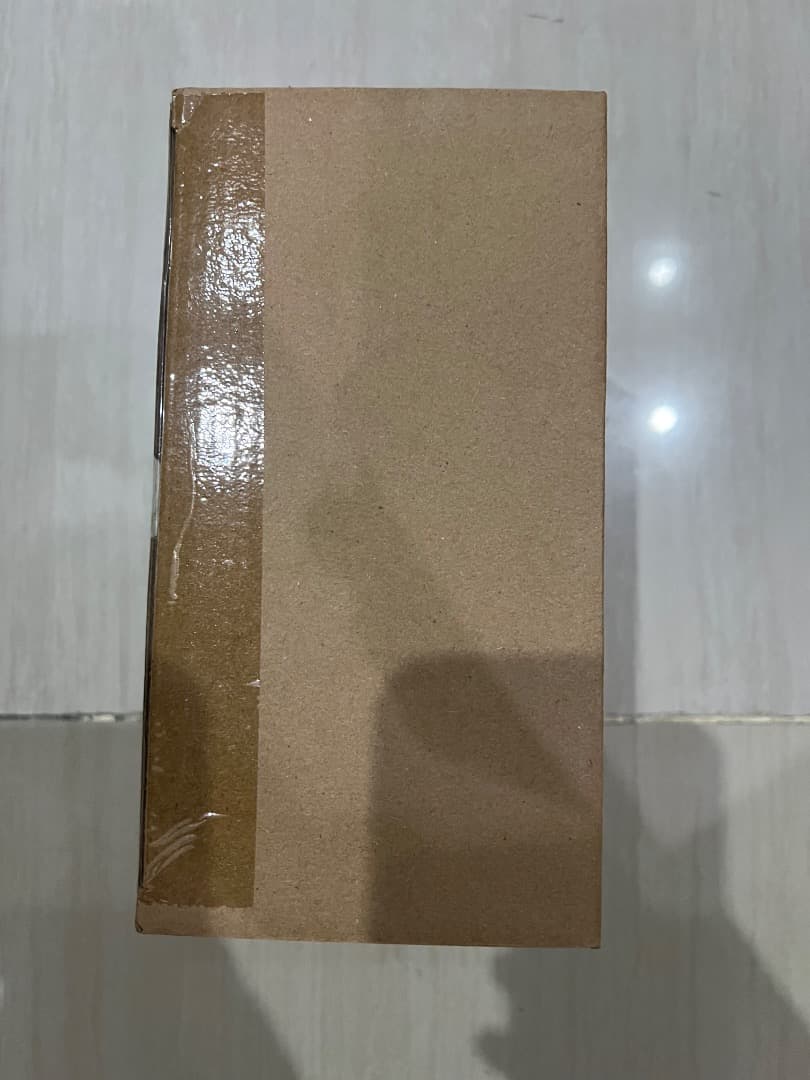 聖闘士聖衣神話 フェニックス一輝（初期青銅聖衣）20th Anniv Ver.