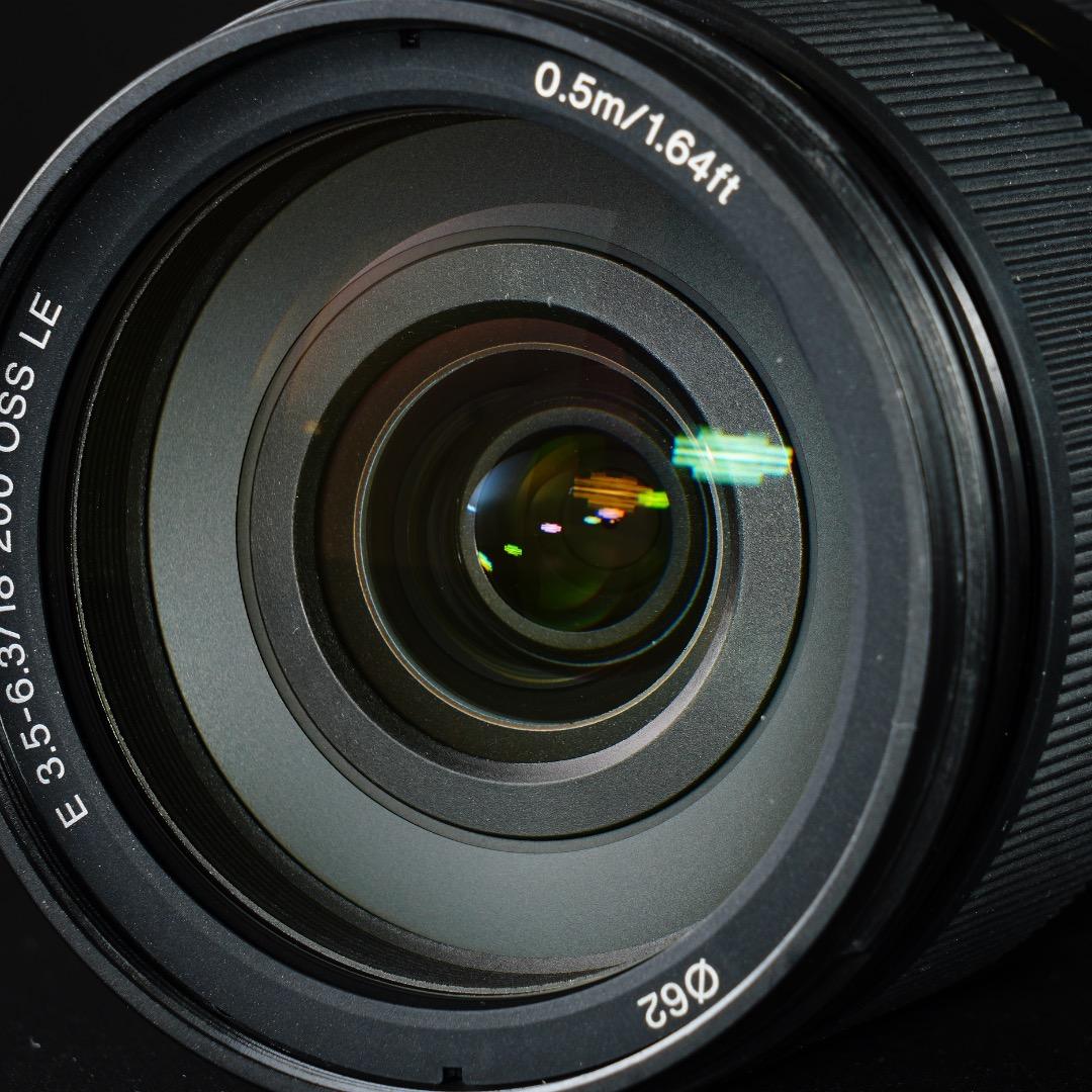 【これ1本】動作◎ SONY SEL18200LE 高倍率ズームレンズ 275