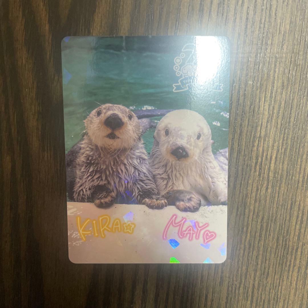 鳥羽水族館 70周年 コレクションカード　レア　キラメイ