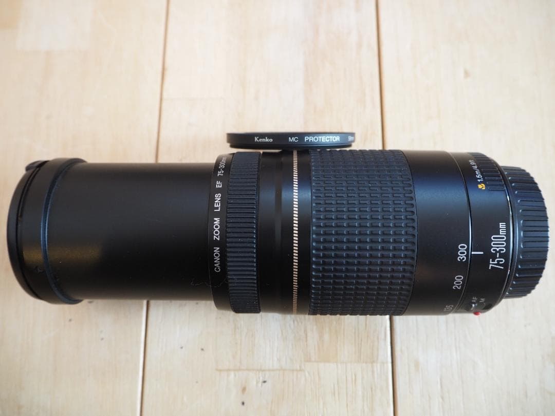 Canon ズームレンズ EF 75-300mm　美品　動作確認済