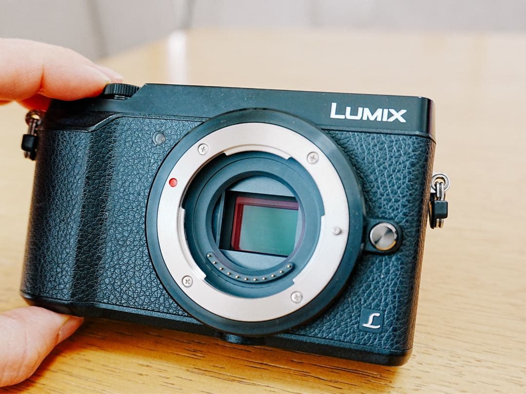 LUMIX GX7MK2、ライカ単焦点レンズ、望遠レンズ、他