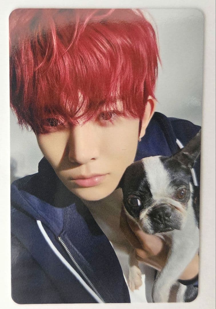 ENHYPEN　ENGENE アンケート特典　トレカ　ヒスン