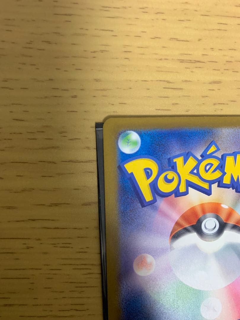 ［今週限定］超美品　メガカイリューex sar マグネットローダー付き