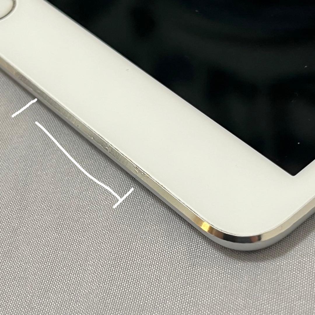 iPad Pro 10.5 512GB Wi-Fi Cellular 本体