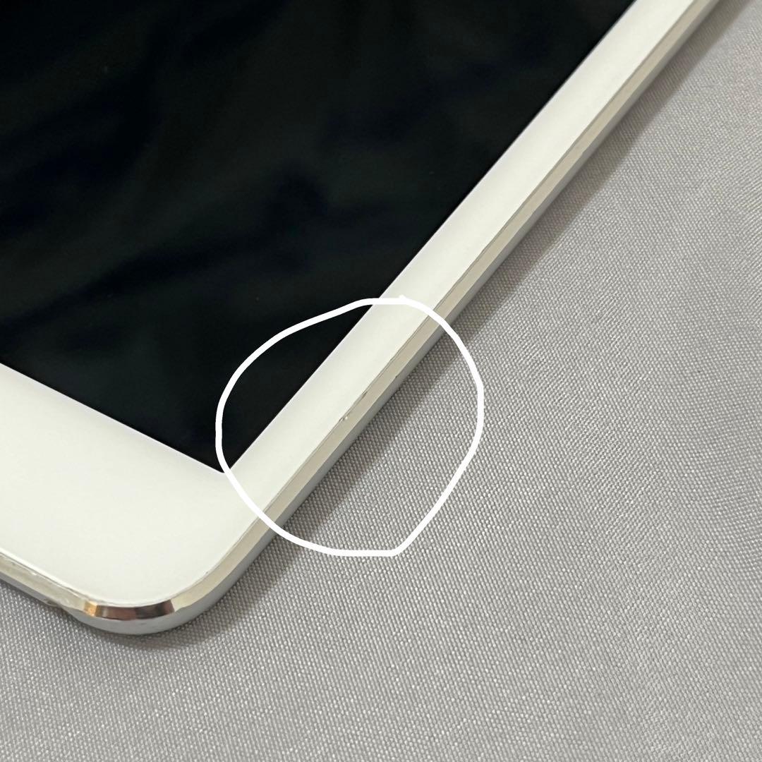 iPad Pro 10.5 512GB Wi-Fi Cellular 本体