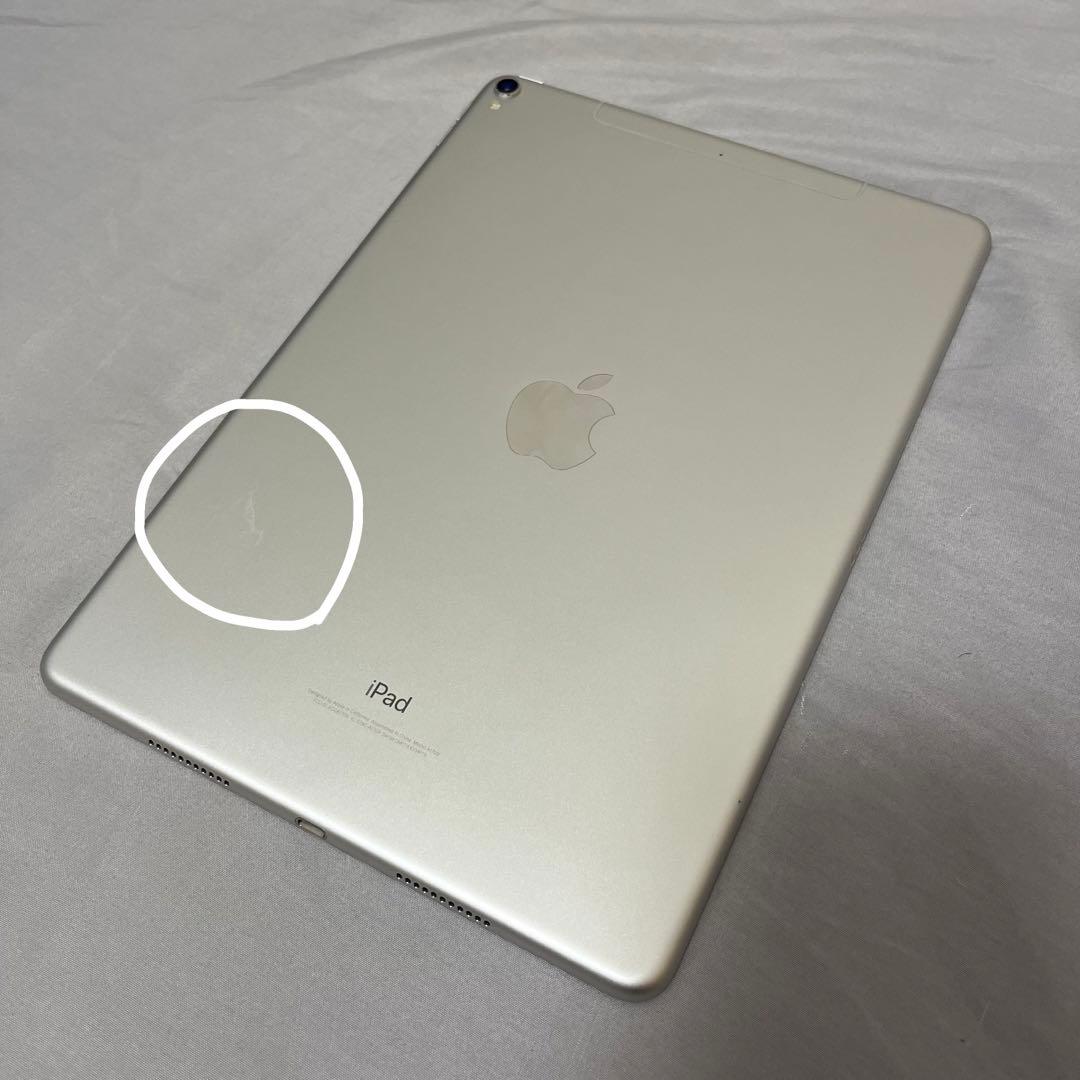iPad Pro 10.5 512GB Wi-Fi Cellular 本体