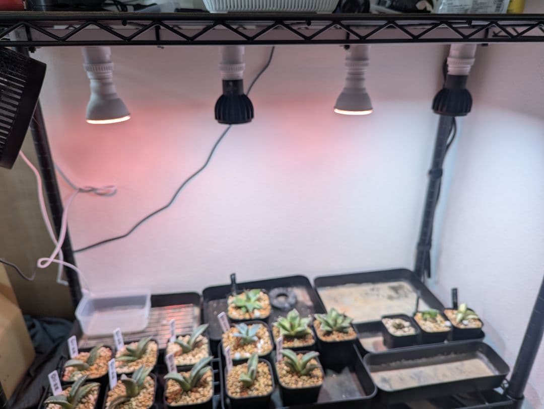 植物管理ラック LEDライト、ダクトレール、サーキュレーター付属