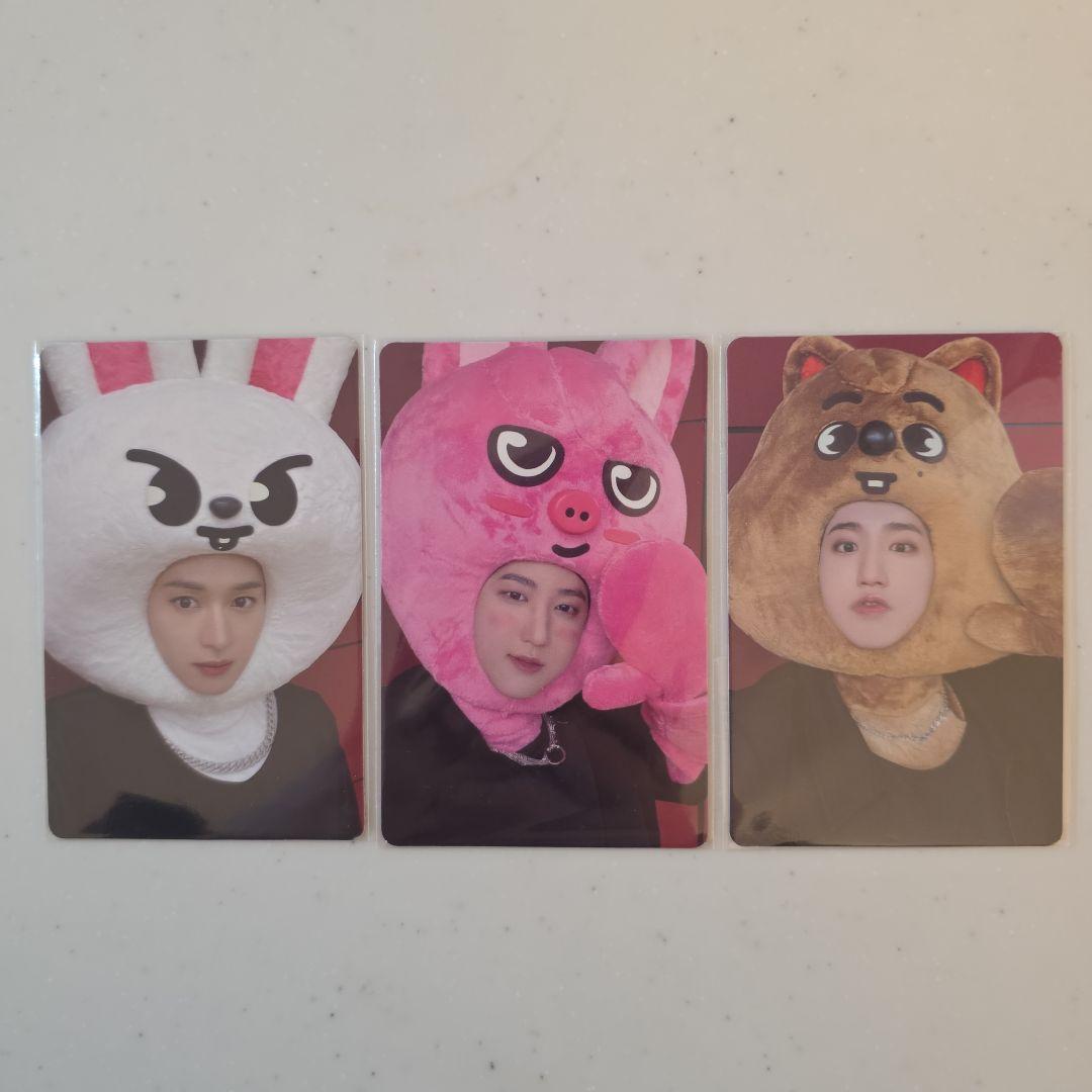 スキズ ハン リノ チャンビン maxident JYP 特典 skzoo