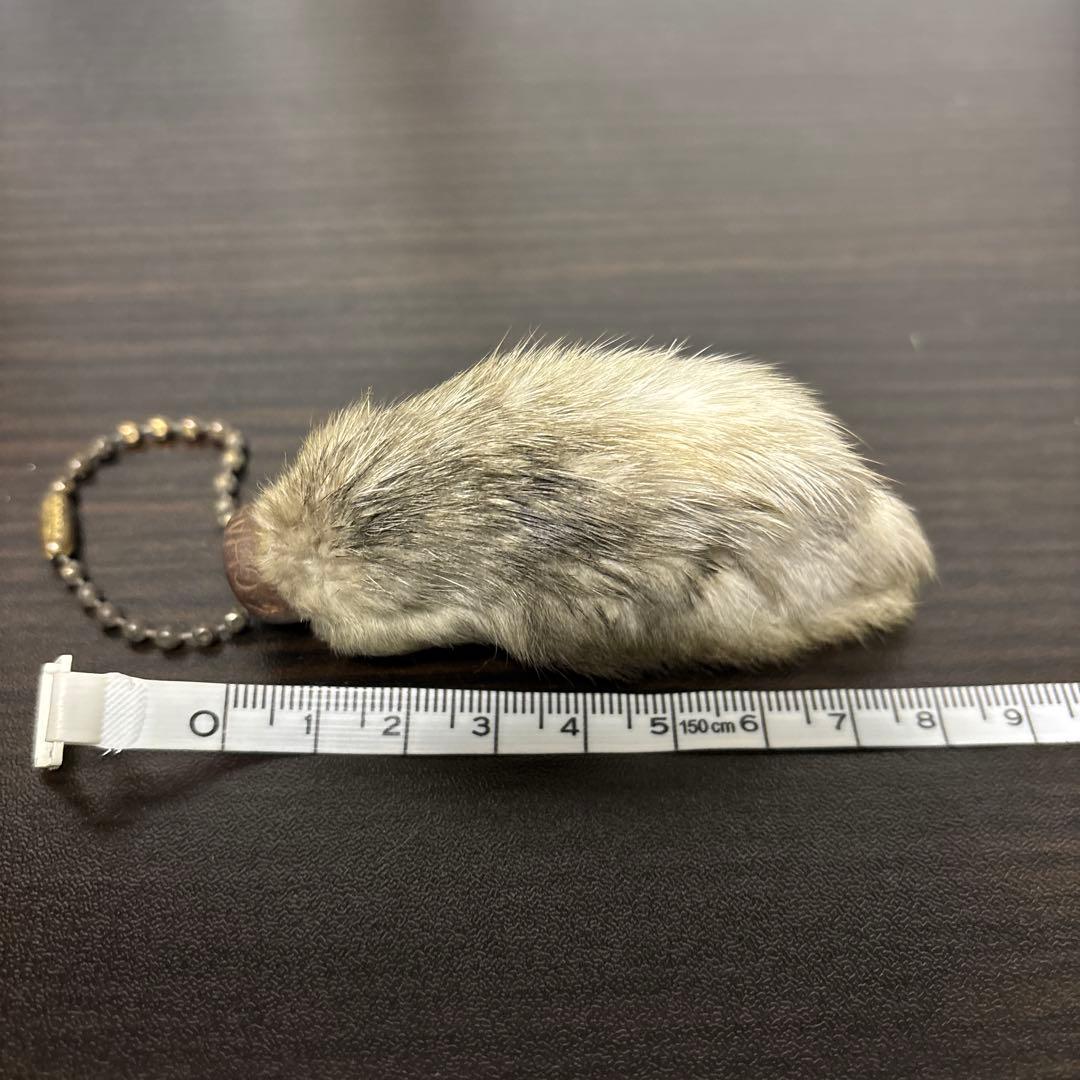 USA製 ヴィンテージラビットフット ラッキーチャーム