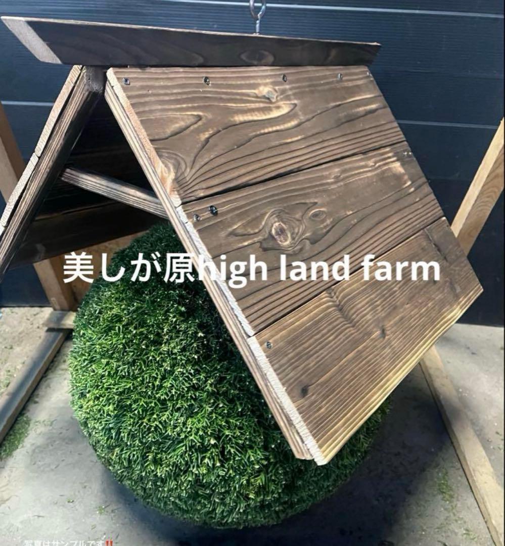 杉玉　約35センチ×2個‼️お客様ご注文品♪