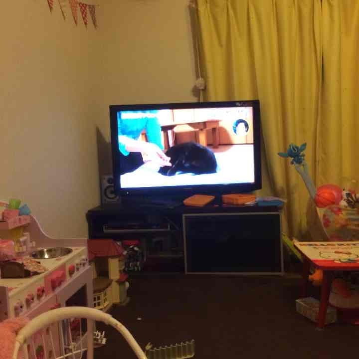 オリオンのテレビ