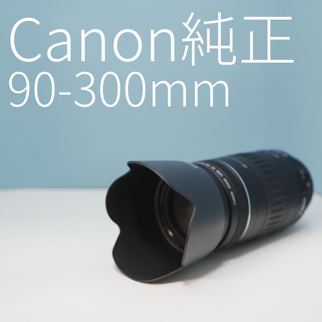 Canon純正 90-300mm 望遠レンズ a3736