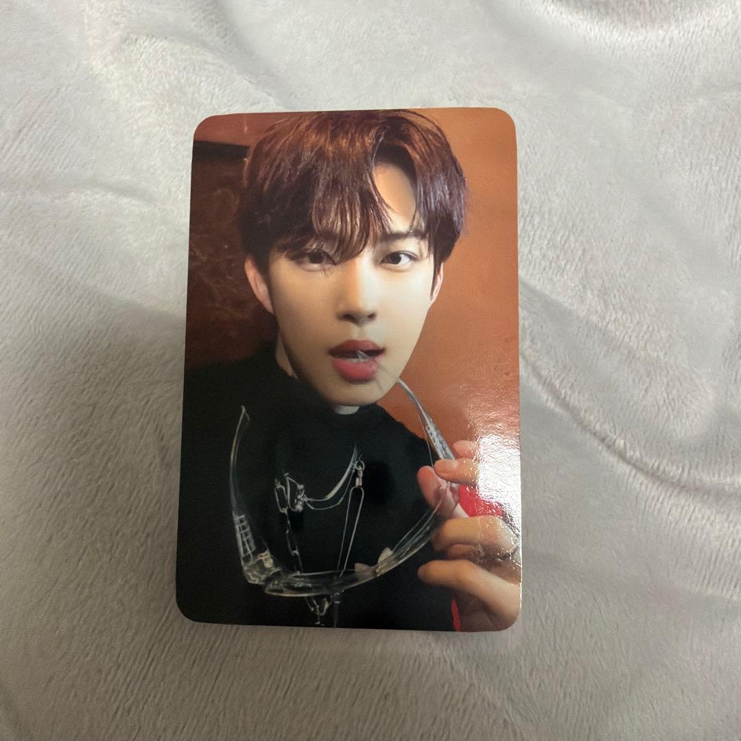 ALPHADRIVEONE ALD1 ゴヌ トレカ ショケ ショーケース