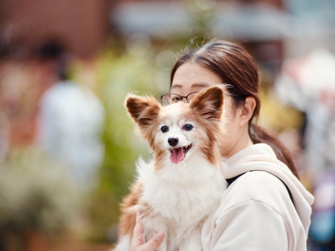 CONTAX Planar 135mm F2 AEG コンタックス プラナー