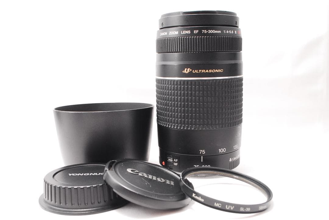 ✨定番の望遠レンズ✨Canon EF 75-300mm F4-5.6 Ⅲ USM