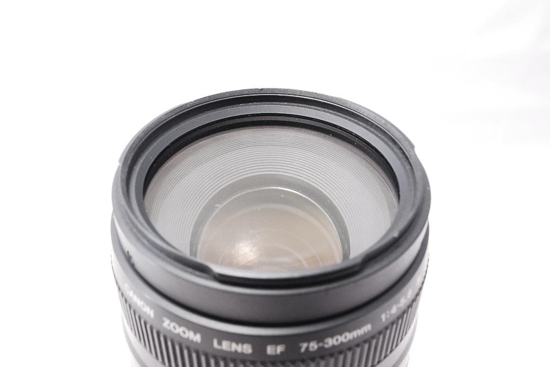 ✨定番の望遠レンズ✨Canon EF 75-300mm F4-5.6 Ⅲ USM