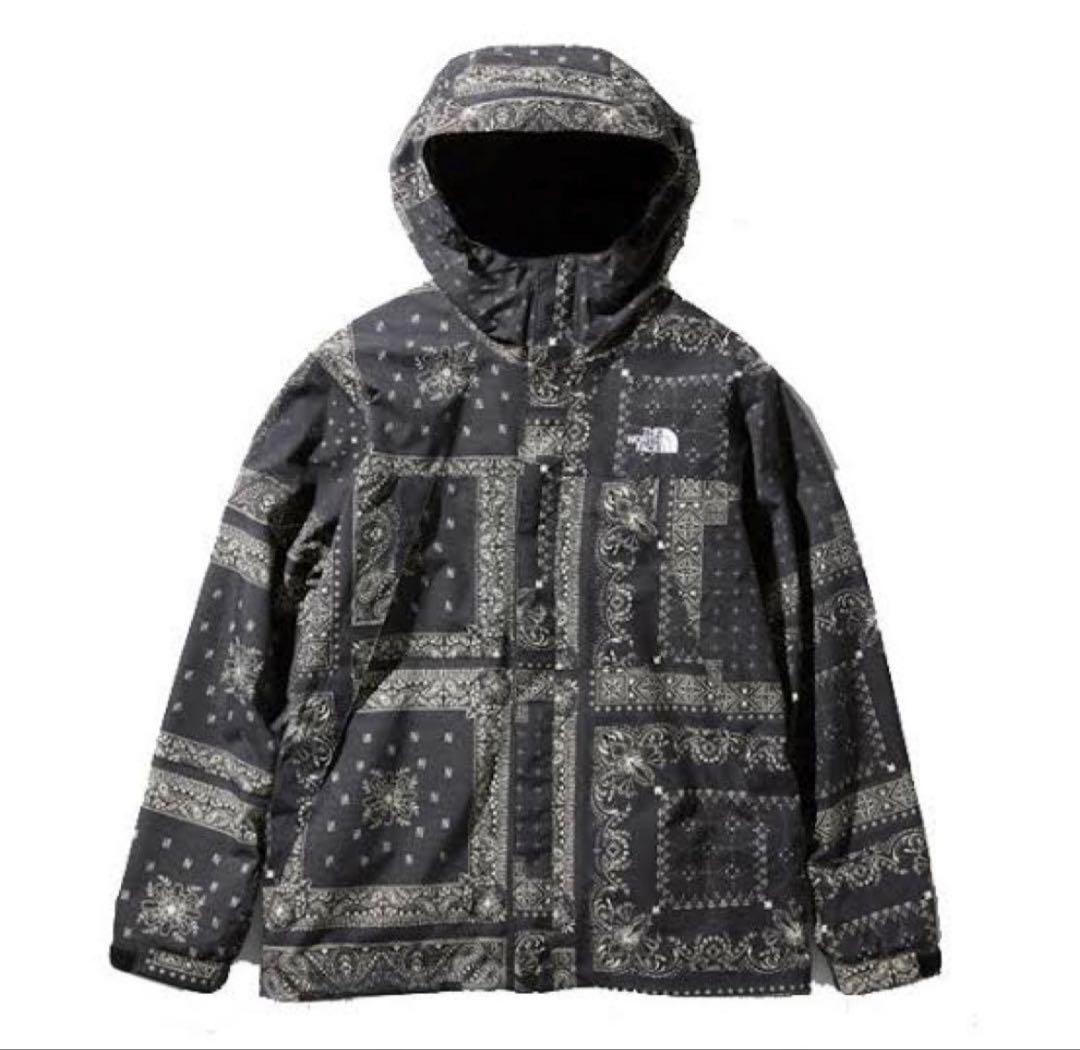 【値下げ】The North Face ペイズリー柄　スクープジャケット