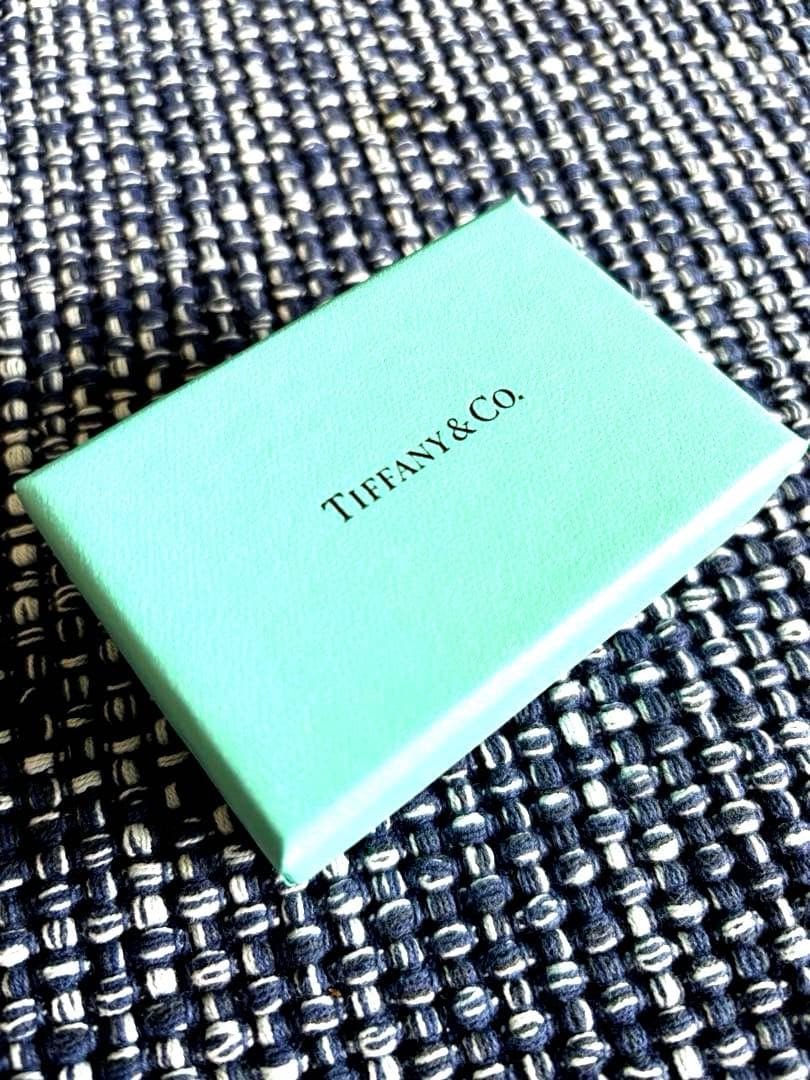 Tiffany & Co. 1837サークルピアス 片耳用