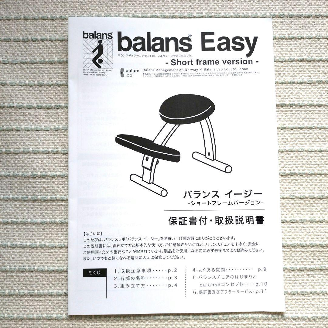バランスチェア バランス イージー 【※ショートフレーム】