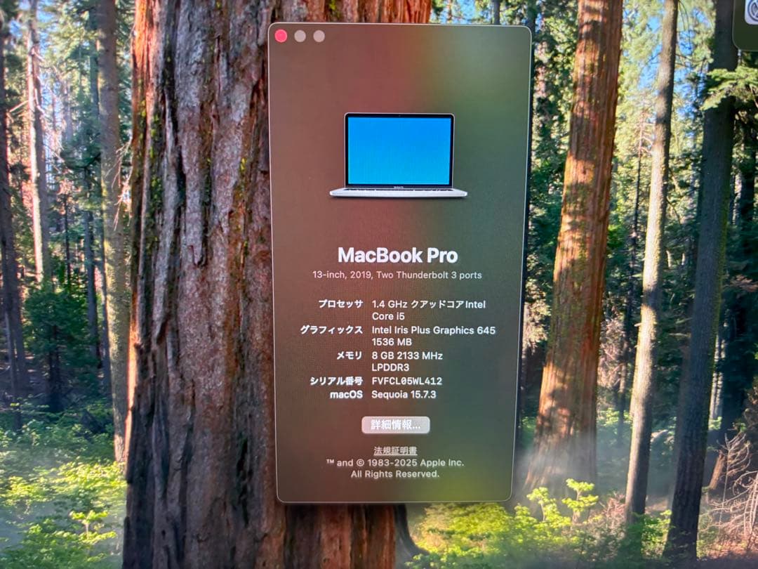 MacBook Pro 2019 13-inch メモリ8GB SSD256GB