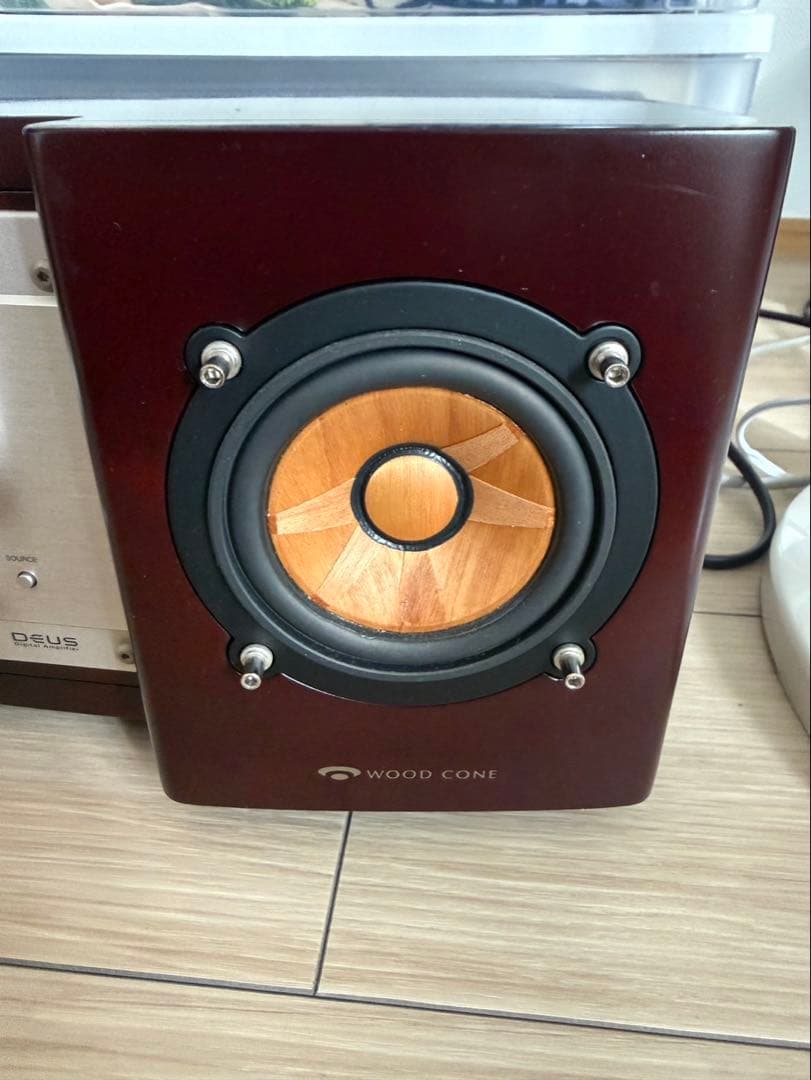 ろ*ん様 美品Victor ビクター ウッドコーン　EX-B5 最高峰　最安