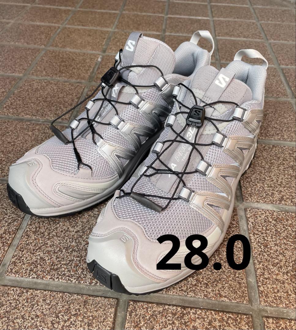 サロモン　XA PRO 3D シルバー　28.0