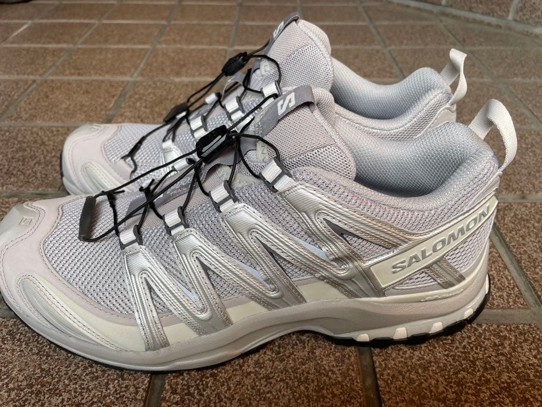 サロモン　XA PRO 3D シルバー　28.0