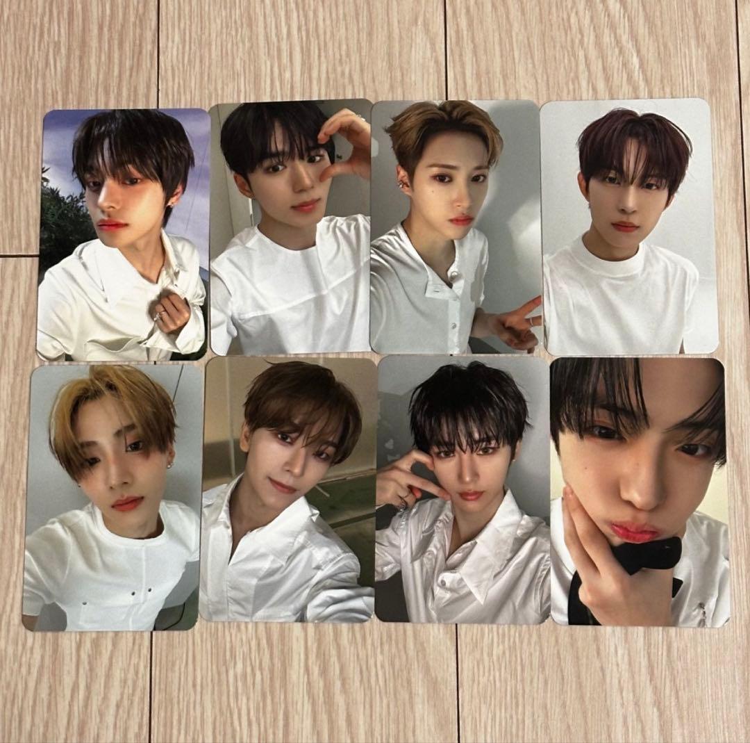 ALD1 EUPHORIA soundwave ヨントン限定 トレカ セット