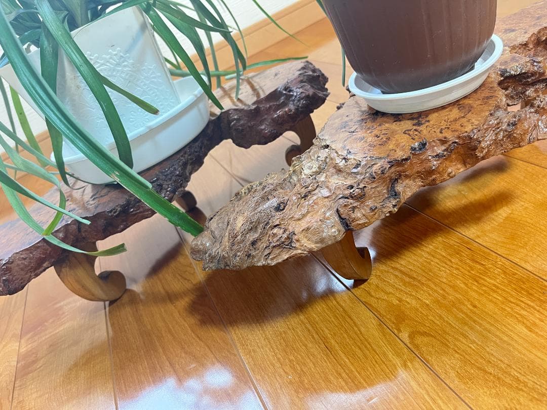 【天然一枚板】飾り台 盆栽台 花瓶台 座卓 足付き 大小2枚セット【光沢仕上げ】