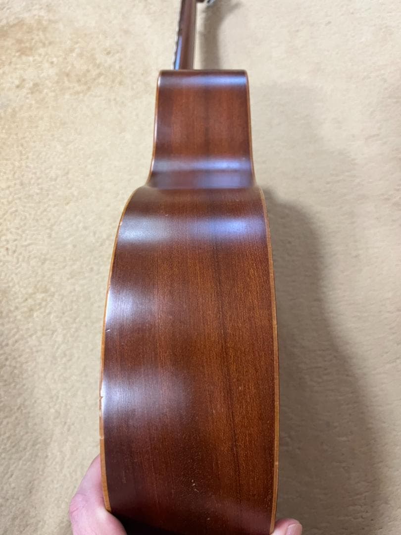 （神設定済み）TAKAMINE Cooder CM-2 ミニギター