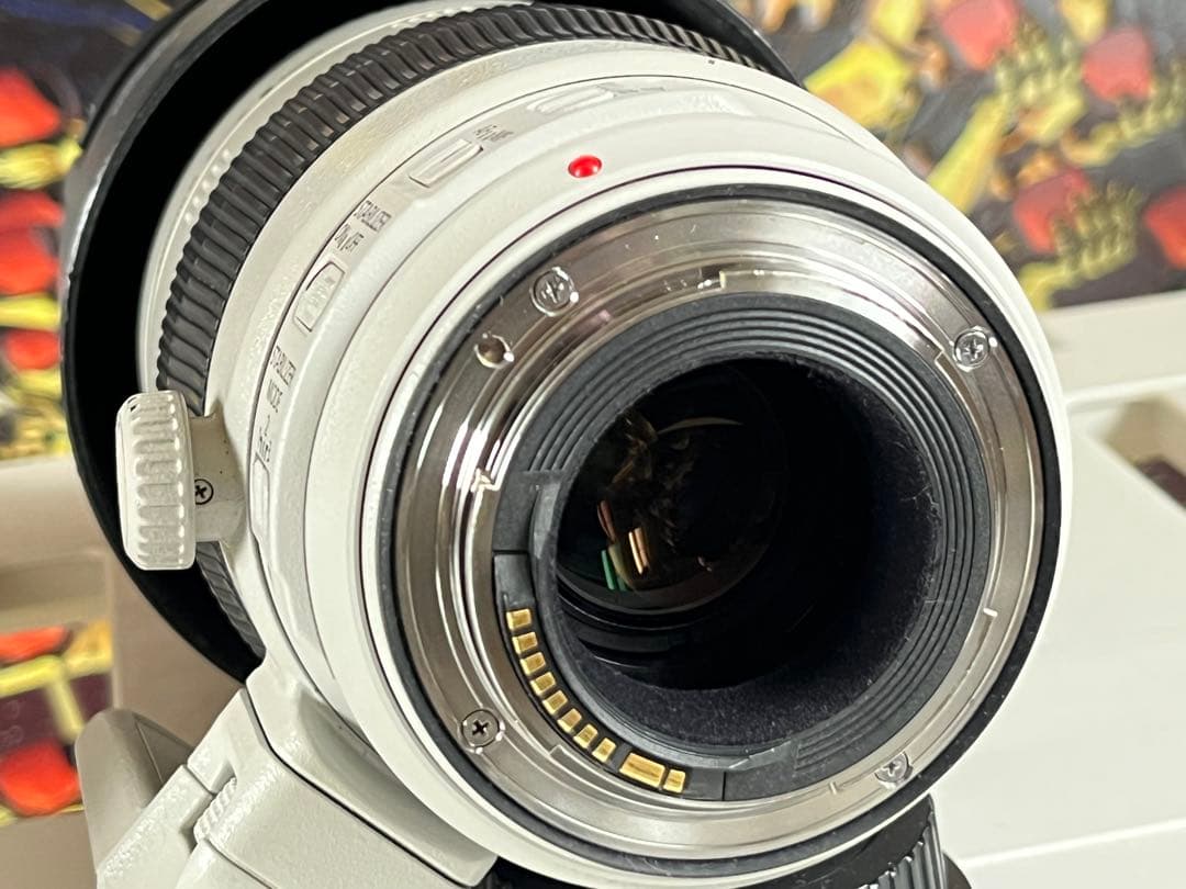 美品CANON EF 100-400mm F4.5-5.6L IS II