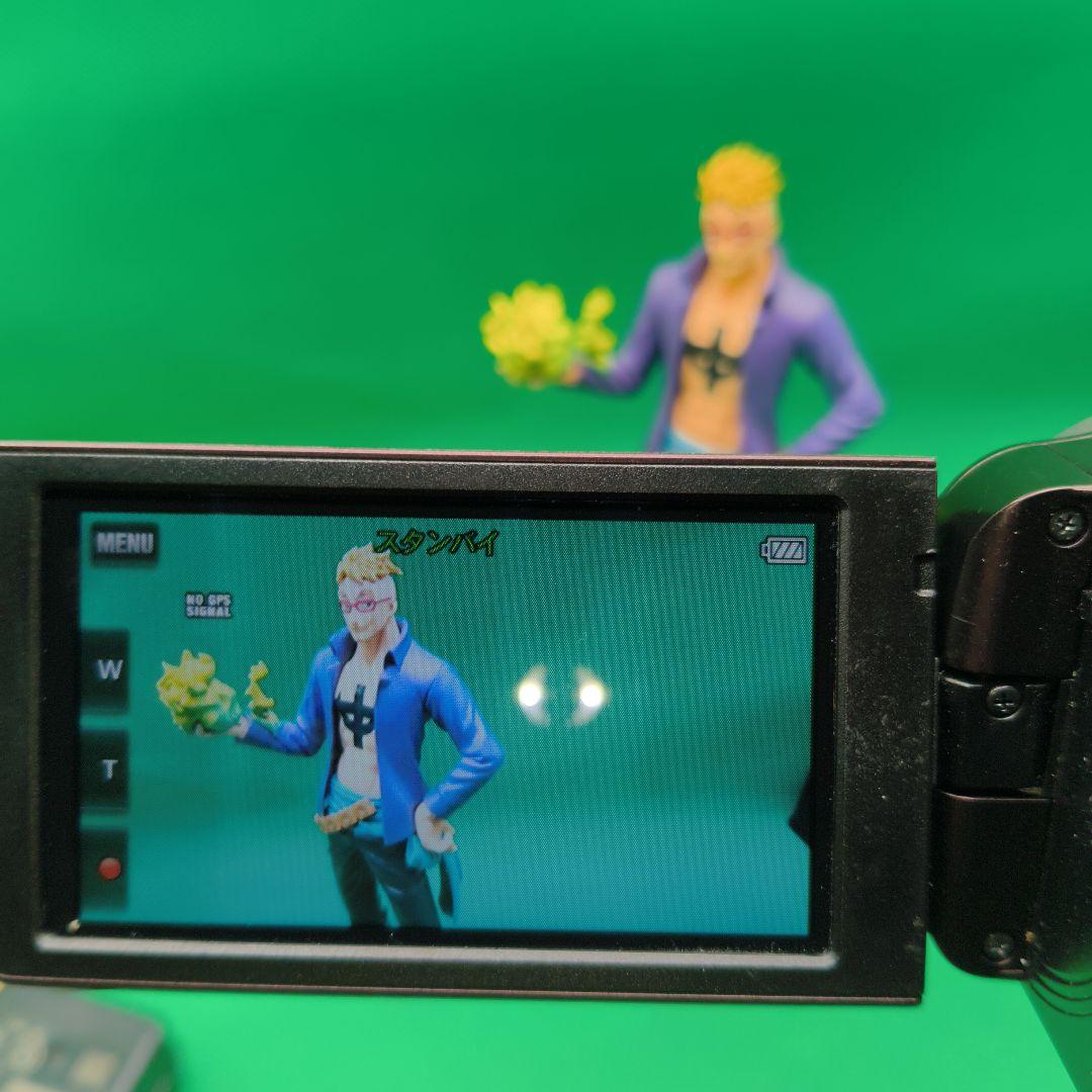 【動作確認済】SONY ソニー Handycam HDR-CX270V