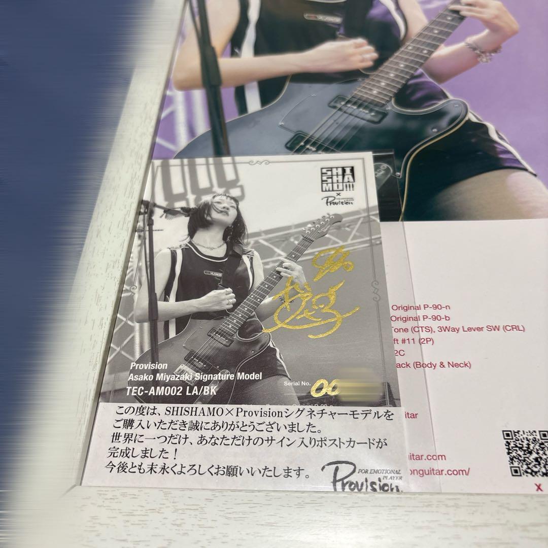 SHISHAMO宮崎朝子シグネチャーモデルギター TEC-AM002 LA/BK