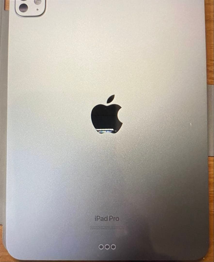 iPad Pro M4 256GB 11インチ Wi-Fiモデル　シルバー