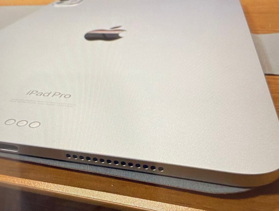 iPad Pro M4 256GB 11インチ Wi-Fiモデル　シルバー