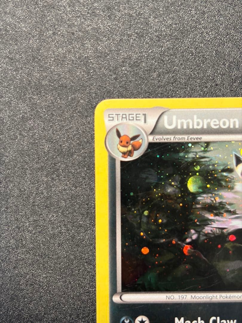 ブラッキー：ナイトバトル PROMO XYプロモ