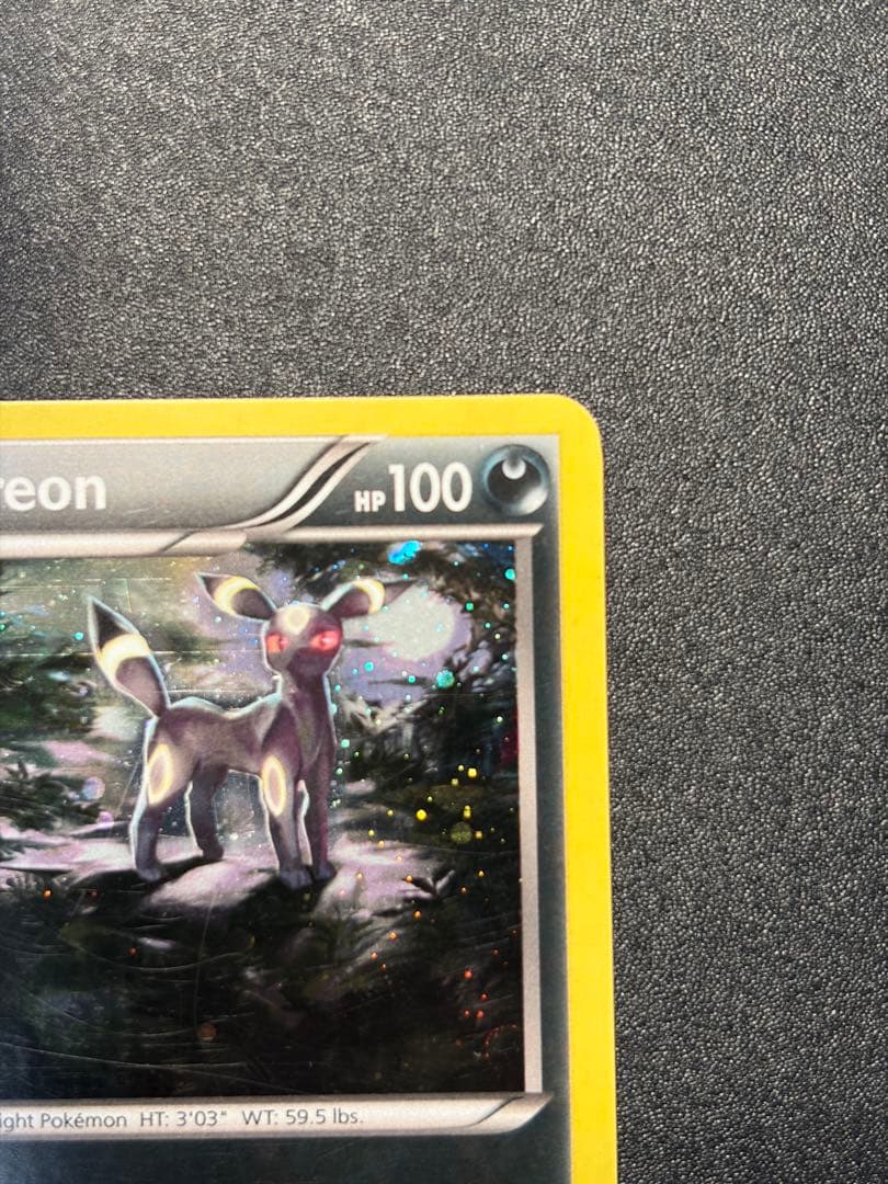 ブラッキー：ナイトバトル PROMO XYプロモ